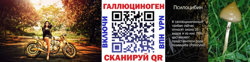Псилоцибиновые грибы Psilocybe  mega ССЫЛКА  Орехово-Зуево  закладка 